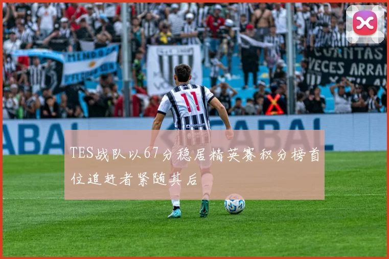 TES战队以67分稳居精英赛积分榜首位追赶者紧随其后