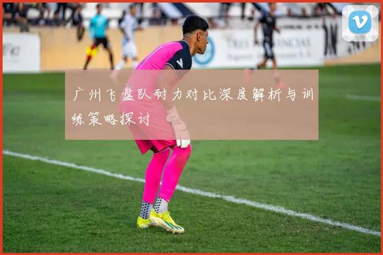 广州飞盘队耐力对比深度解析与训练策略探讨