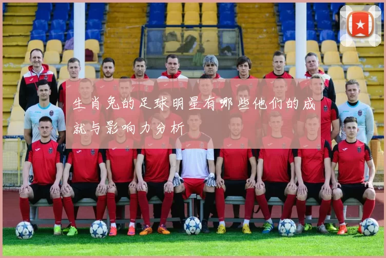生肖兔的足球明星有哪些他们的成就与影响力分析