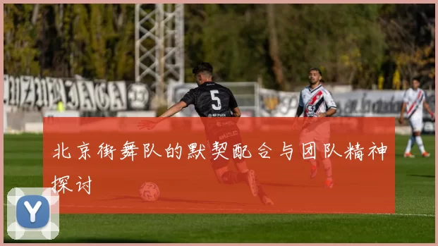 北京街舞队的默契配合与团队精神探讨