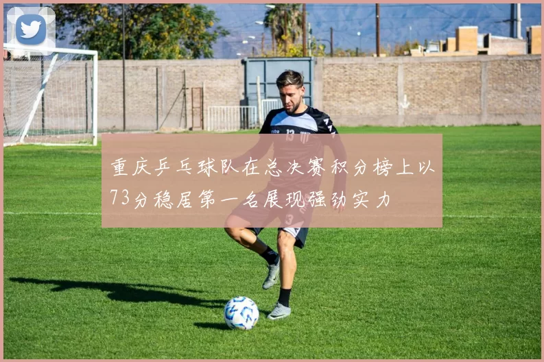 重庆乒乓球队在总决赛积分榜上以73分稳居第一名展现强劲实力