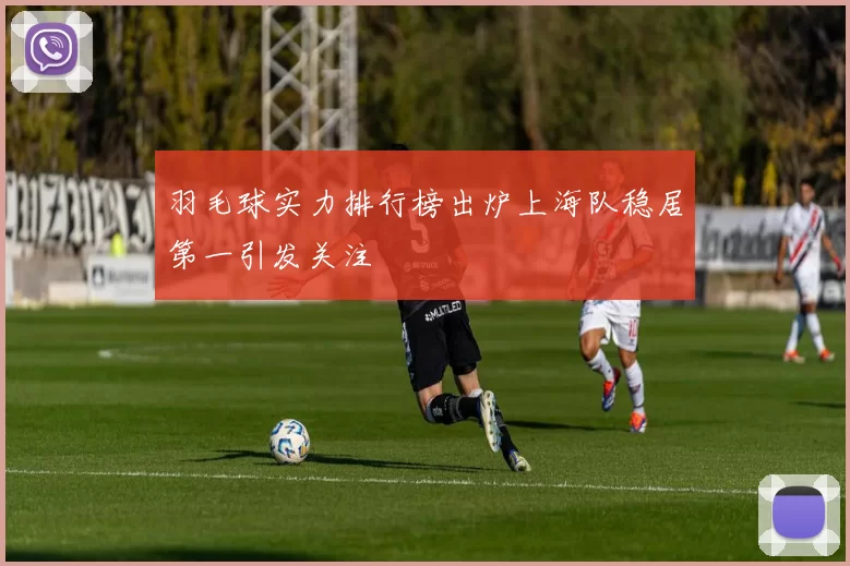 羽毛球实力排行榜出炉上海队稳居第一引发关注