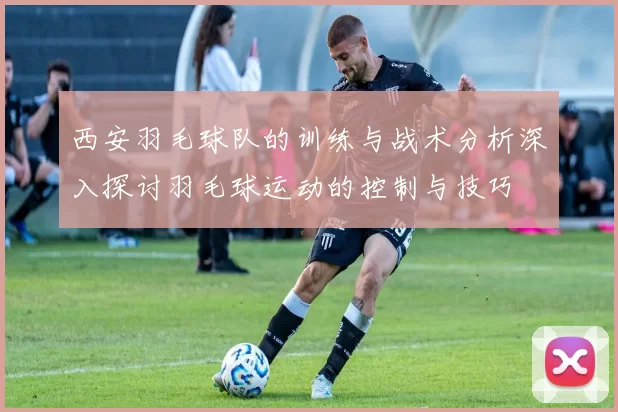 西安羽毛球队的训练与战术分析深入探讨羽毛球运动的控制与技巧
