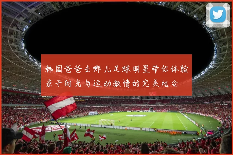 韩国爸爸去哪儿足球明星带你体验亲子时光与运动激情的完美结合