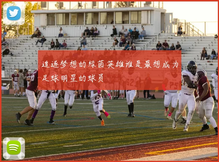 追逐梦想的绿茵英雄谁是最想成为足球明星的球员