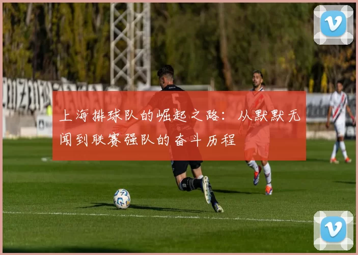 上海排球队的崛起之路：从默默无闻到联赛强队的奋斗历程
