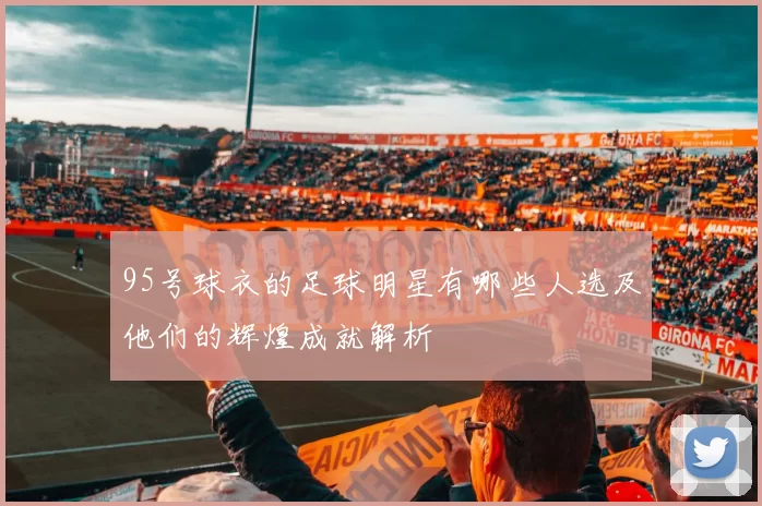 95号球衣的足球明星有哪些人选及他们的辉煌成就解析