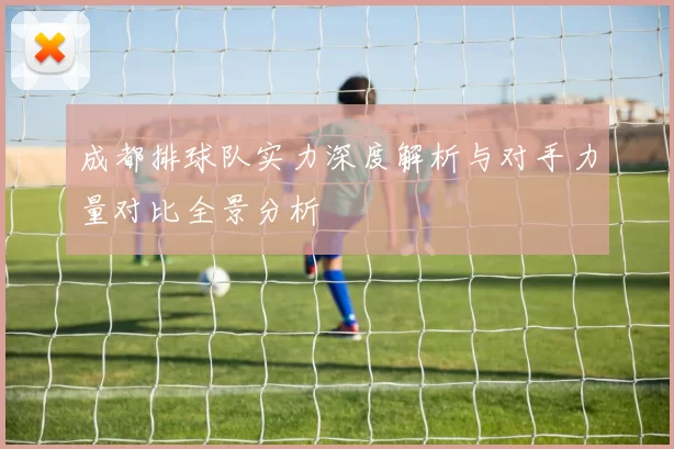 成都排球队实力深度解析与对手力量对比全景分析