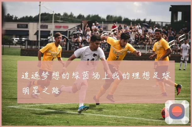 追逐梦想的绿茵场上我的理想足球明星之路