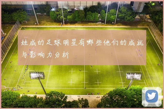 姓成的足球明星有哪些他们的成就与影响力分析