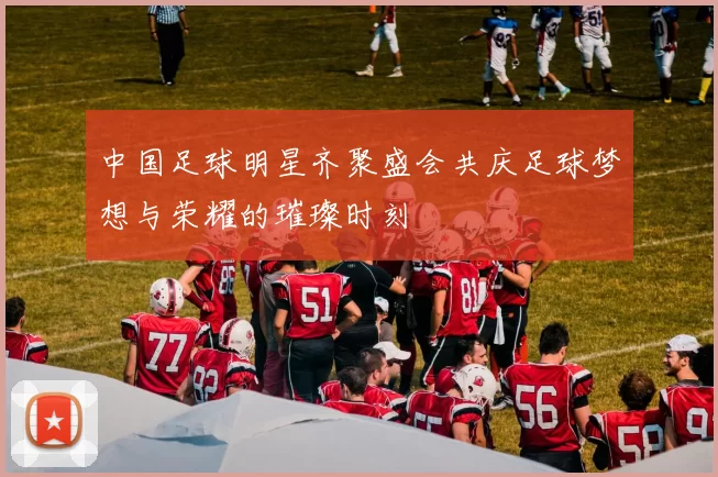 中国足球明星齐聚盛会共庆足球梦想与荣耀的璀璨时刻