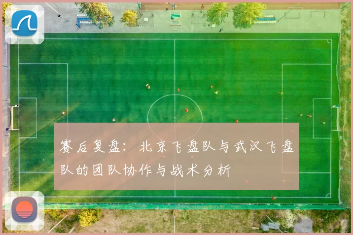 赛后复盘：北京飞盘队与武汉飞盘队的团队协作与战术分析