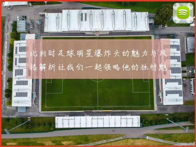 比利时足球明星爆炸头的魅力与风格解析让我们一起领略他的独特魅力
