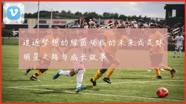 追逐梦想的绿茵场我的未来式足球明星之路与成长故事