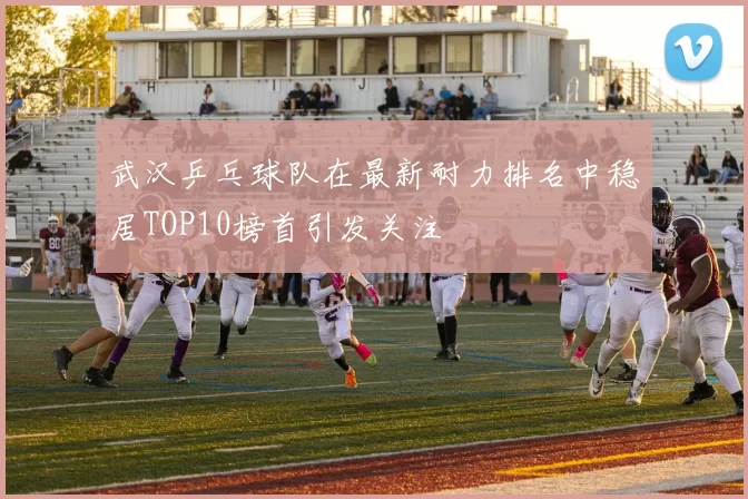 武汉乒乓球队在最新耐力排名中稳居TOP10榜首引发关注