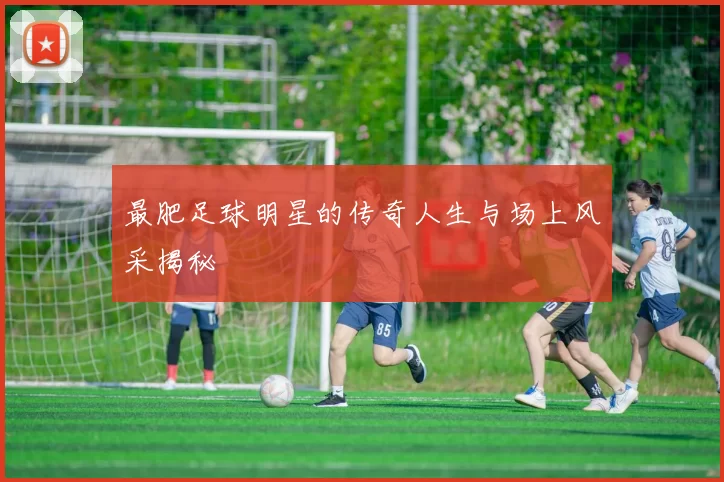 最肥足球明星的传奇人生与场上风采揭秘