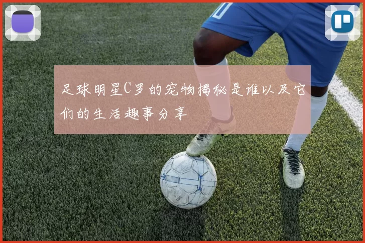 足球明星C罗的宠物揭秘是谁以及它们的生活趣事分享