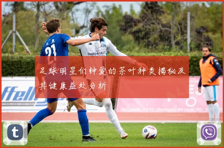 足球明星们钟爱的茶叶种类揭秘及其健康益处分析