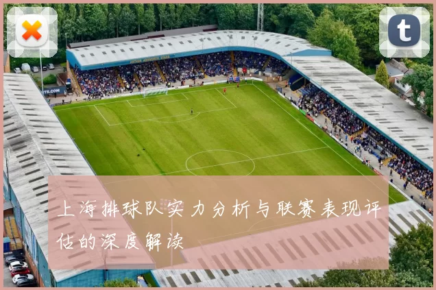 上海排球队实力分析与联赛表现评估的深度解读
