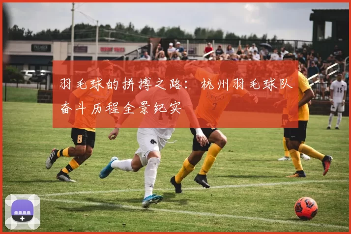 羽毛球的拼搏之路：杭州羽毛球队奋斗历程全景纪实