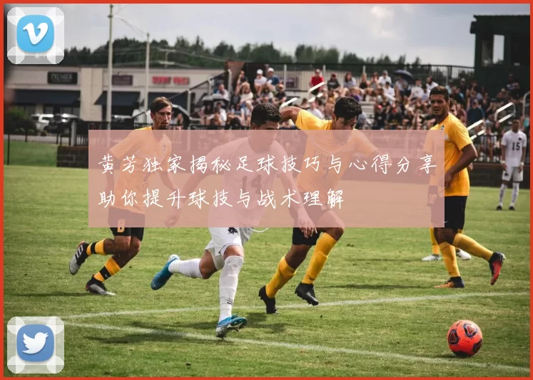 黄芳独家揭秘足球技巧与心得分享助你提升球技与战术理解