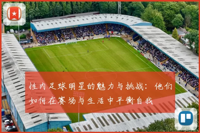 性内足球明星的魅力与挑战：他们如何在赛场与生活中平衡自我