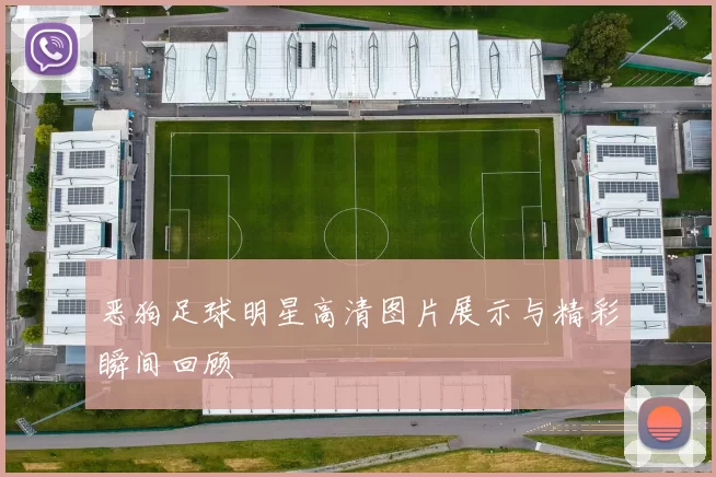 恶狗足球明星高清图片展示与精彩瞬间回顾