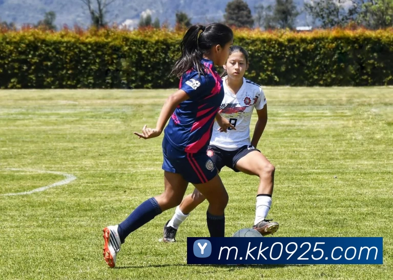 平台使命图