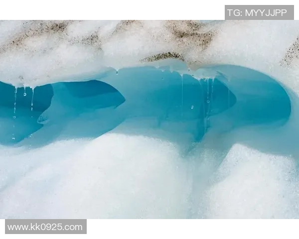 中时新闻网报道:全球气候变暖加剧 台湾应对策略与挑战分析