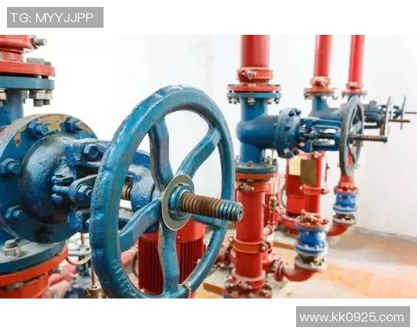 水管阀门安装与维护技巧解析提高家庭水管系统安全与效率